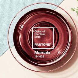 Introducing the Color of 2015- Marsala!